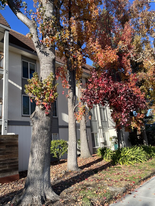 Photo - 4081 Clayton Rd Unit 132