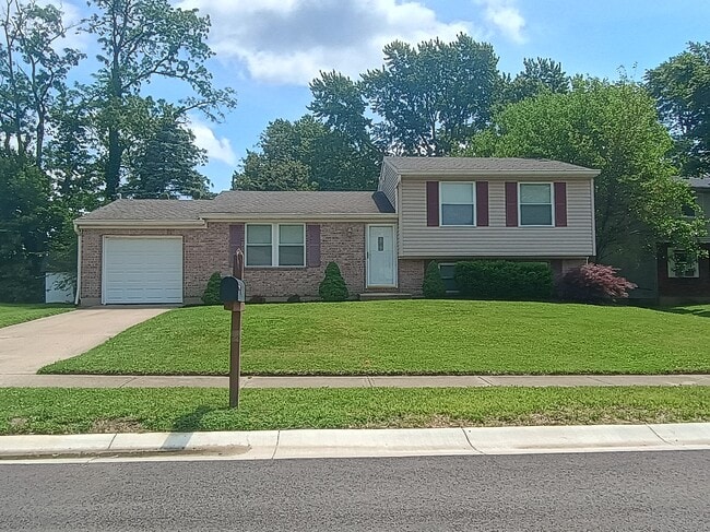 Building Photo - 904 Leslie Ct