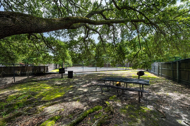 Picnic Area & Basketball Court - Mimosa Place Apartments