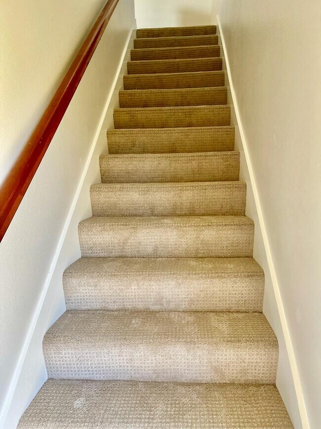 Photo - 835 Tolentino Ct