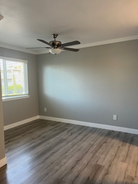 Chateau Manor Apartments