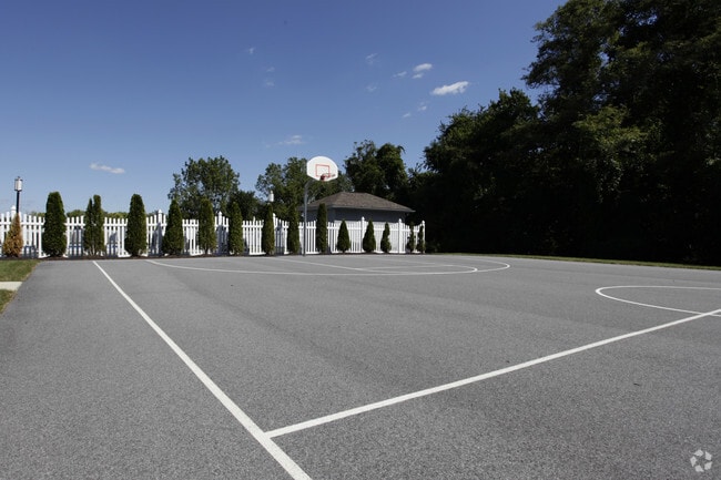 Basketball Court