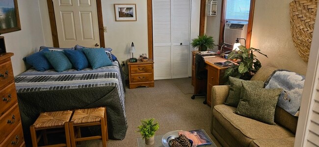 Living Room/Bedroom/Office Area