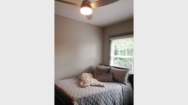 Photo - Maryden on Central