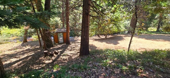 Photo - 3 bed 2 bath home surrounded by nature