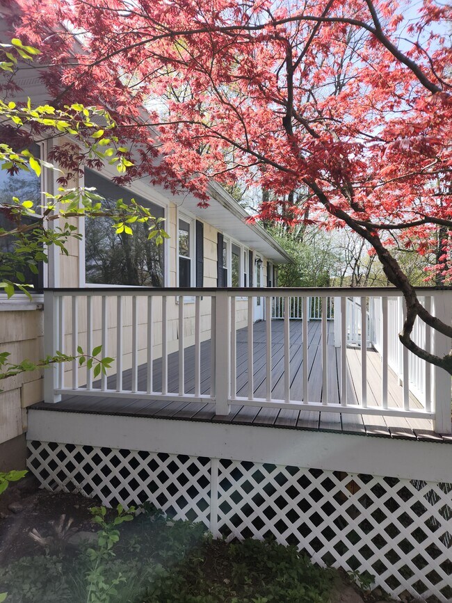 Photo - 44 Lakeside Dr