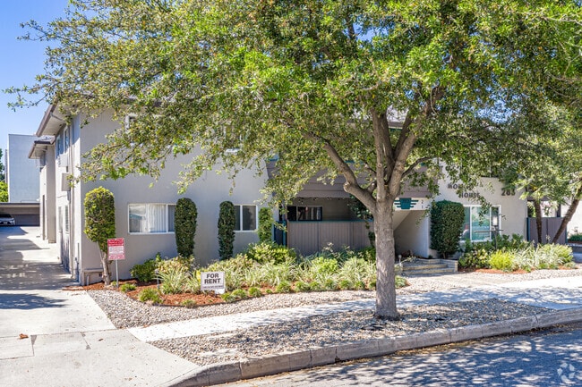 Alternate - Molino House