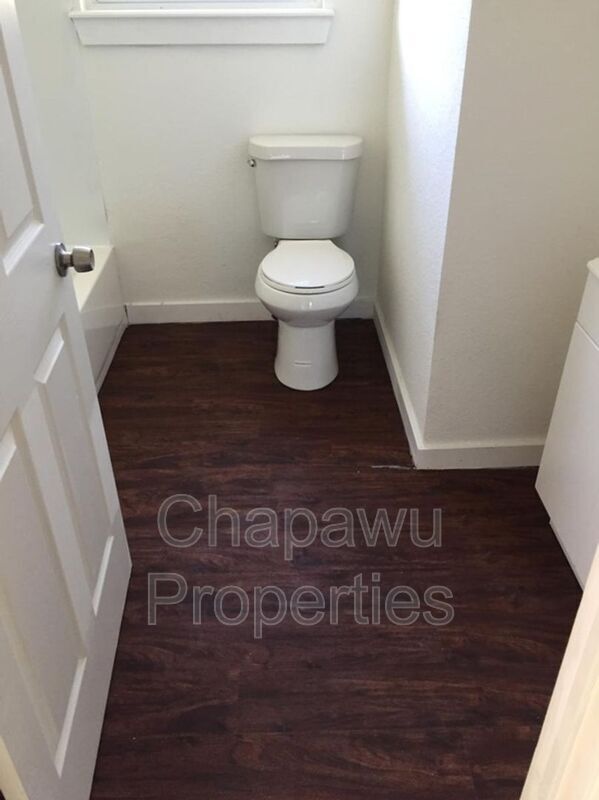 Photo - 710 Poinsettia