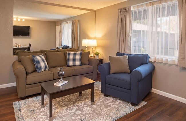1 Bedroom Living Room