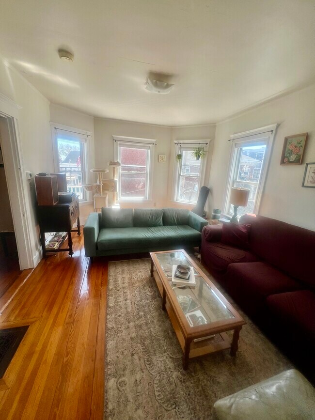 Living Room - 3 Newbury St Unit 3 Newbury Street # 2 Somerville, MA