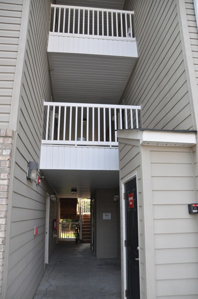 The Edge Student Apartments Greensboro, NC