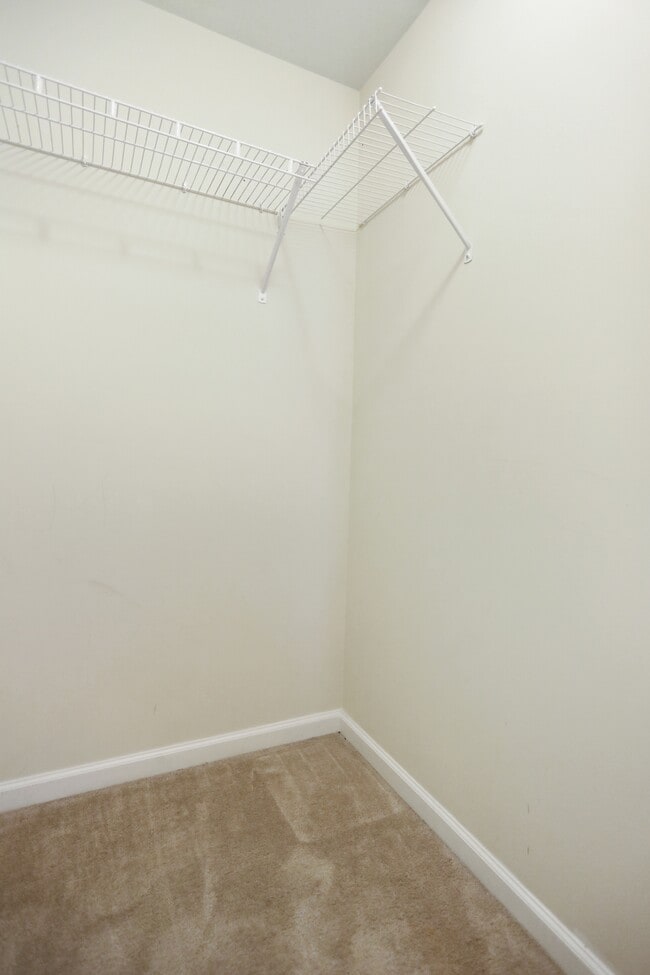 Photo - 18 Chillingham Ct