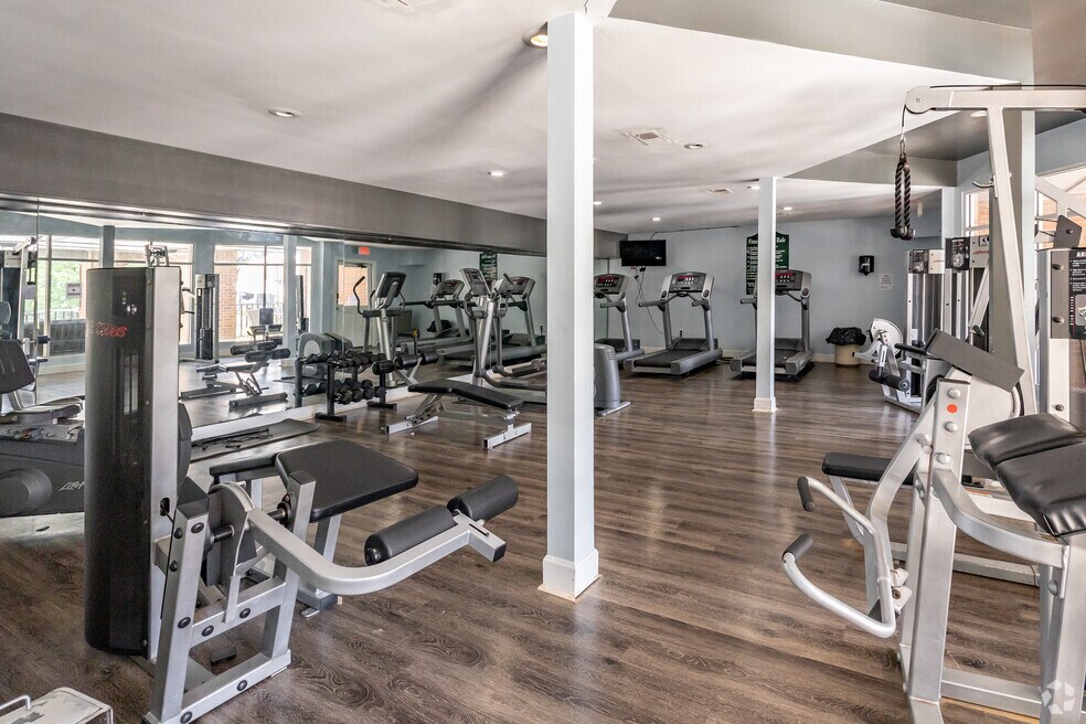 Gimnasio