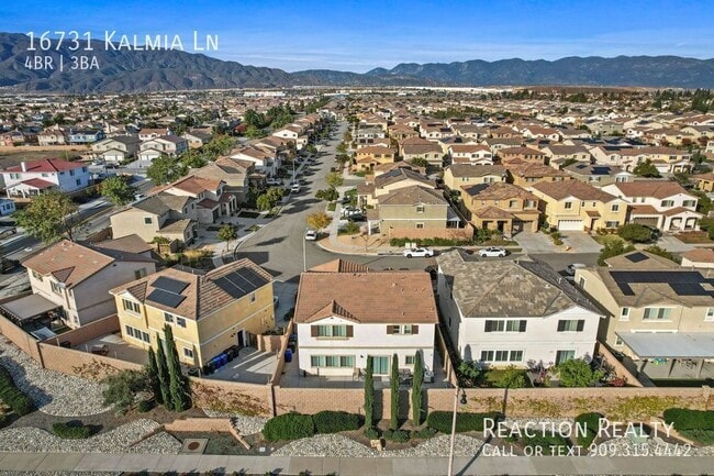 Photo - 16731 Kalmia Ln