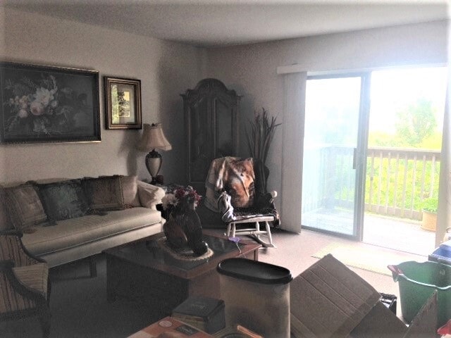 Family Room Photo in the Building