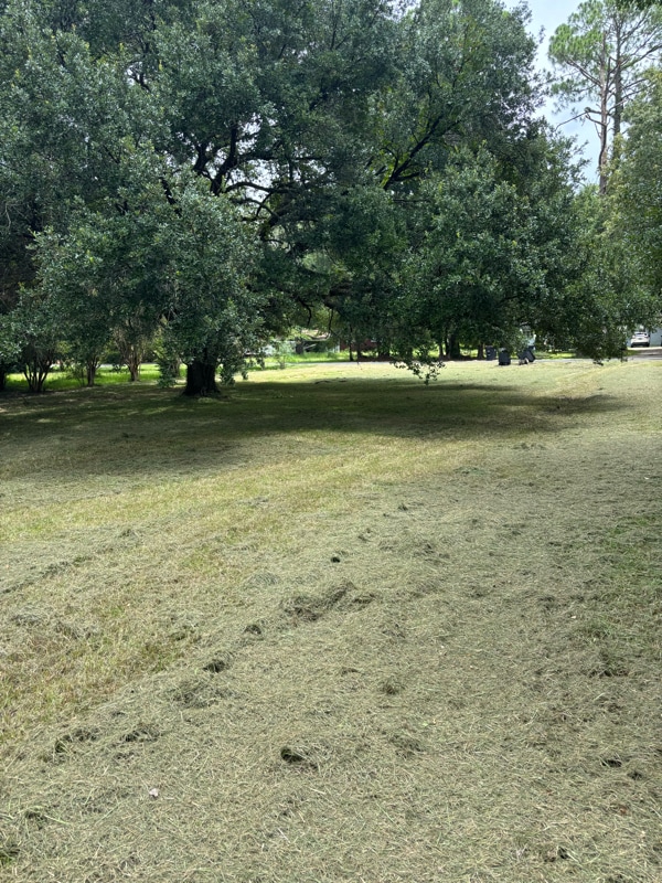 Photo - 11735 Ellen Dr