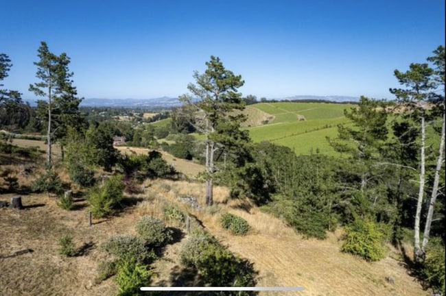 Photo - 3600 Bloomfield Rd House