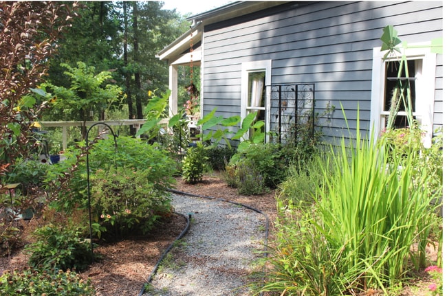 Photo - 203 Lucky Horse Ln