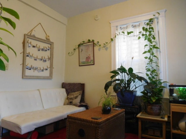 Photo - 165 Kelton St