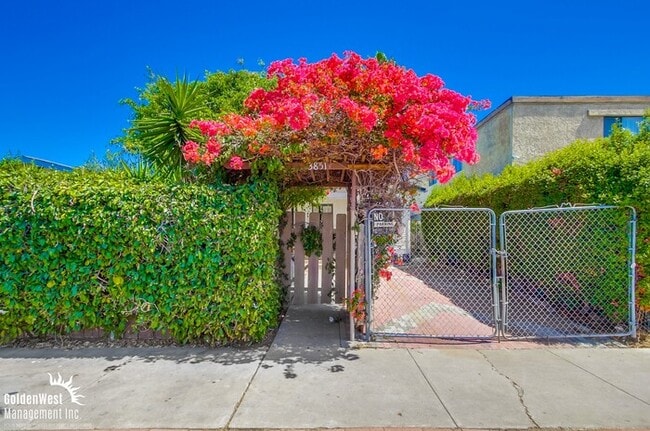 Building Photo - Beautifully Renovated 1Bdm 1Ba Apartment i...