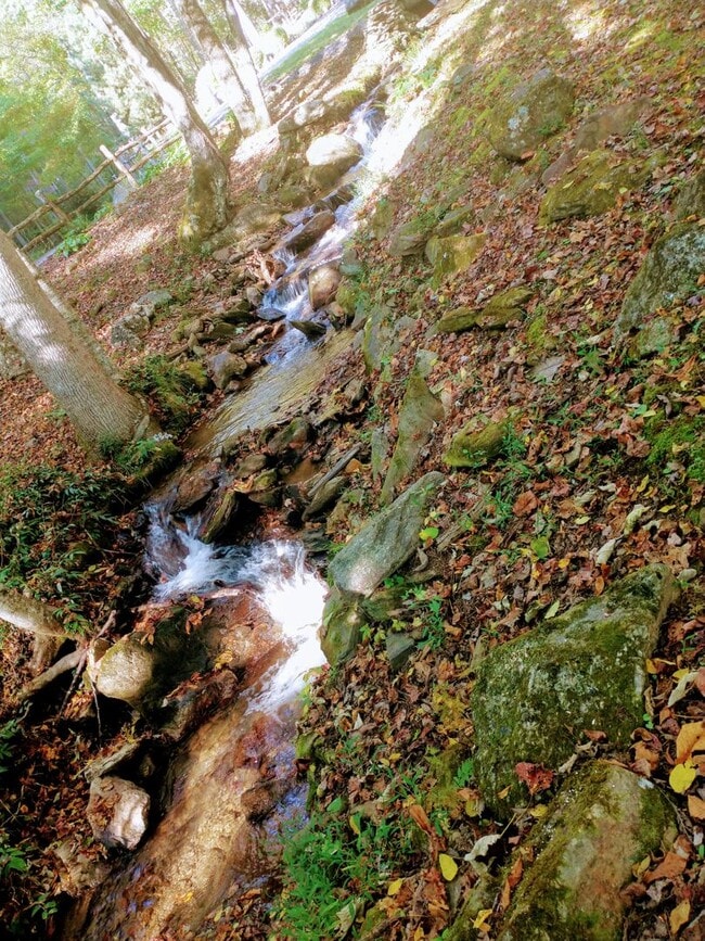 Photo - 1364 Herron Branch Rd