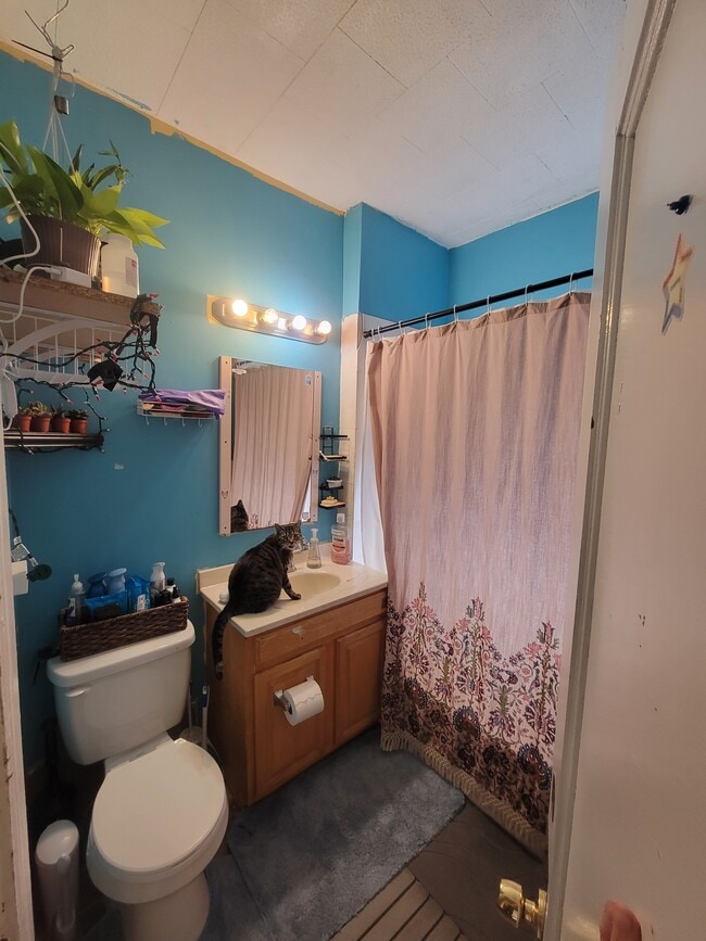 Shared bathroom - 107 Bassett St