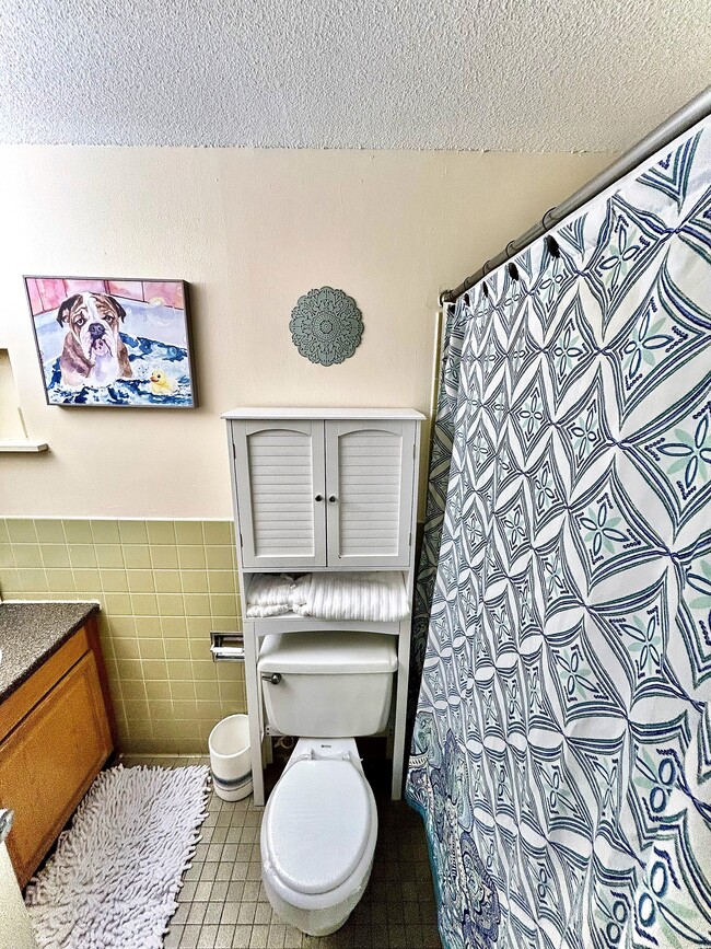 Bathroom - Capitol Green