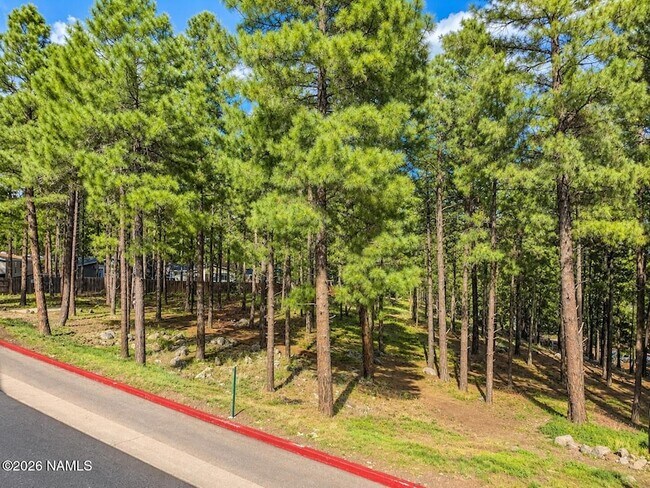 2382 W Cripple Creek Dr