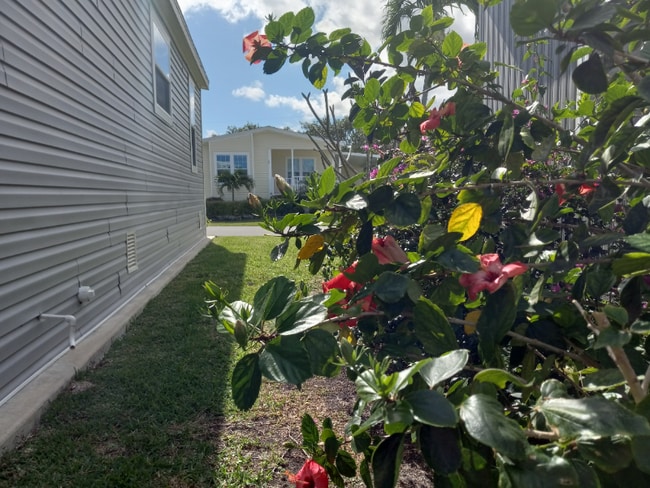 Photo - 4163 74th St N