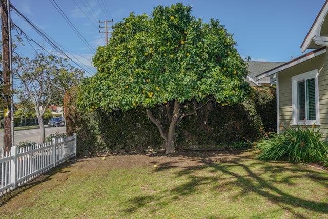 Photo - 1922 Castillo St