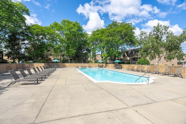 Photo - Somerset Park