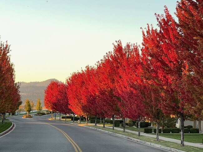Photo - Beautiful Liberty Lake Townhome in Rocky Hill – 2 Bed, 2.5 Bath Available May 1st