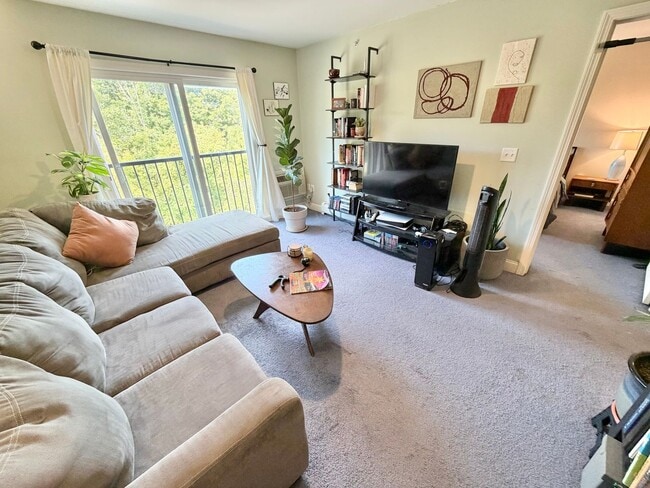 245 Pearl St Unit 302