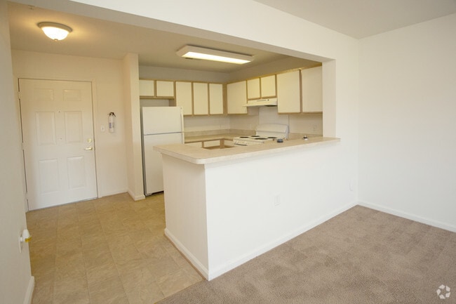 1BR,1BA,-767SF Kitchen