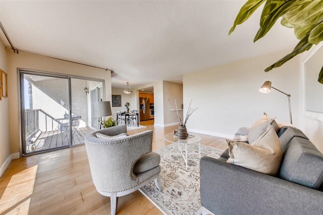 Living room - 916 Caminito Estrada Unit C