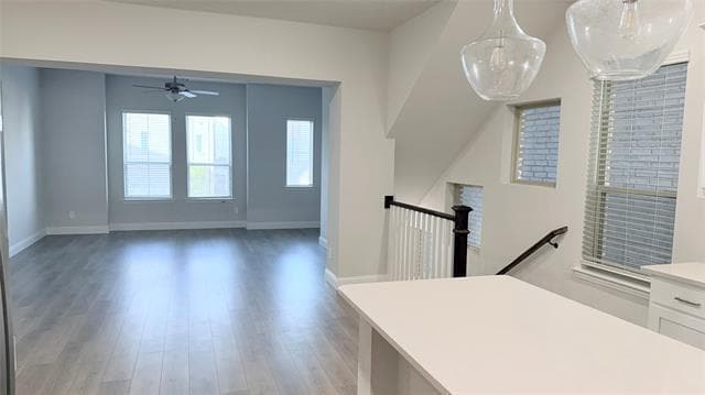 Photo - 2236 Palomino St