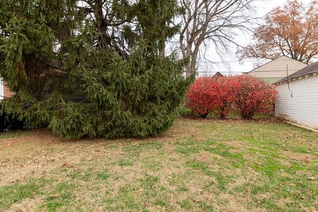 Photo - 505 Oxford Pl