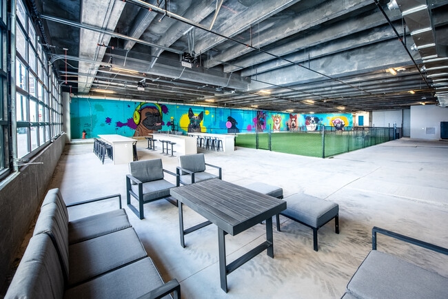 Indoor Dog Park