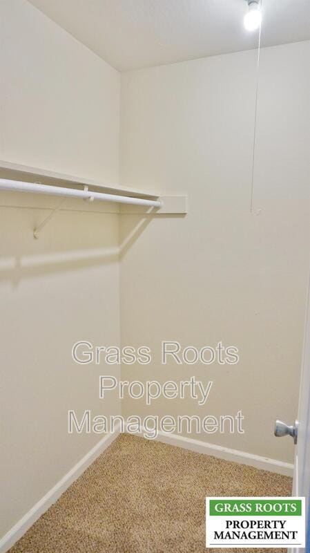 Photo - 256 Racetrack St
