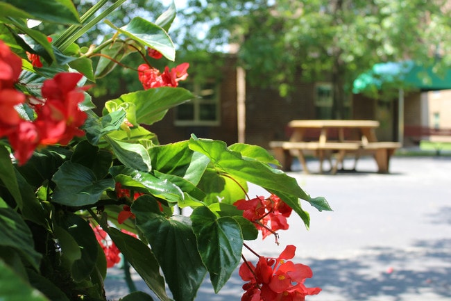 Photo - Bethel Estates 62 +