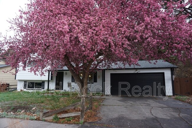 Building Photo - 4018 Goldenrod Dr