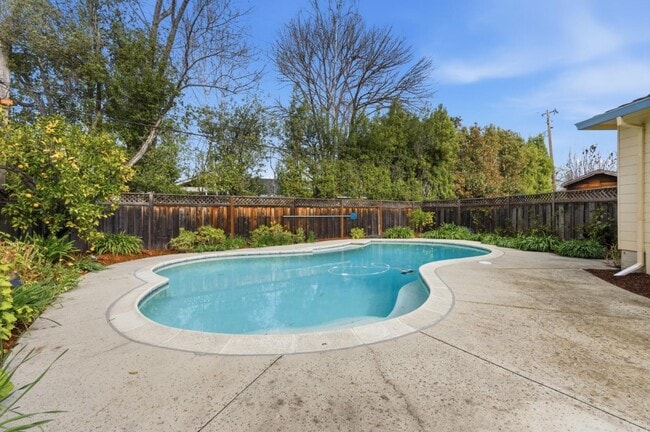 Photo - 8 Patricia Pl