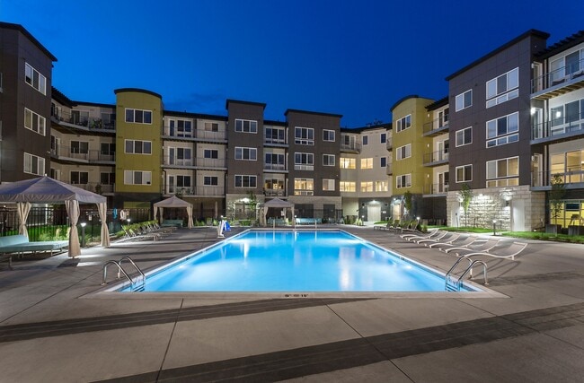 Resort Style Pool
