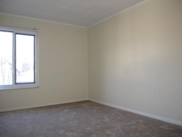 Photo - TRENT 557 Unit 557B