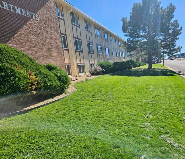 Outdoor Landscaping