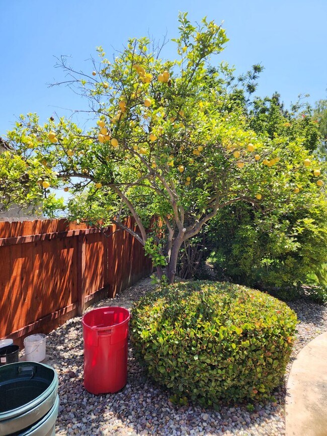 Photo - Large 3 bedroom home in quiet cul-de-sac with large backyard - Pets allowed