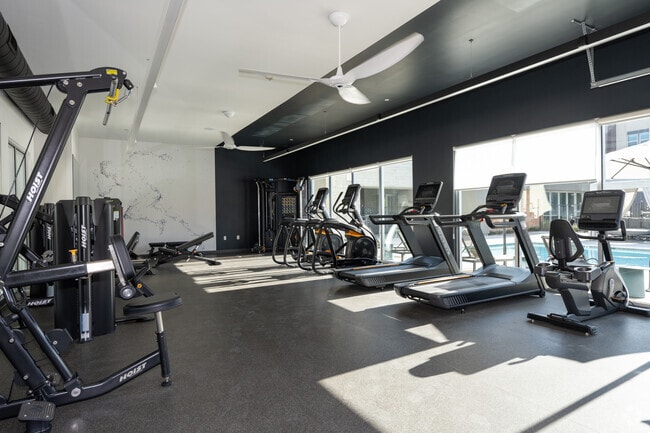 Fitness