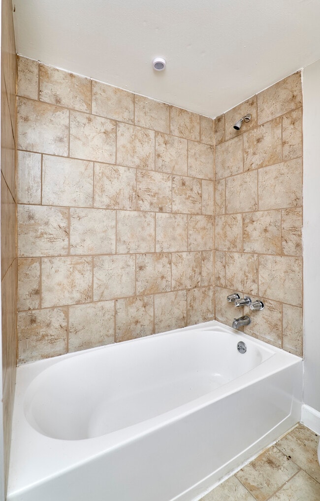 Photo - Kirkwood Forest