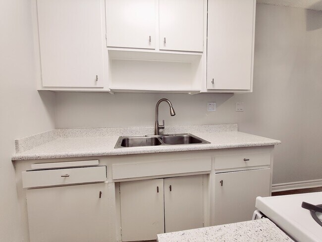 Photo - Tropical Breeze