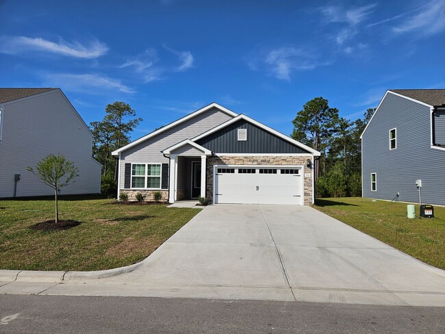 Brand new 3 bedroom 2 bath home in the Sou... - Brand new 3 bedroom 2 bath home in the Sou...